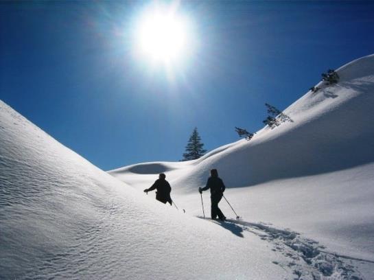 Отель Haus Kristall