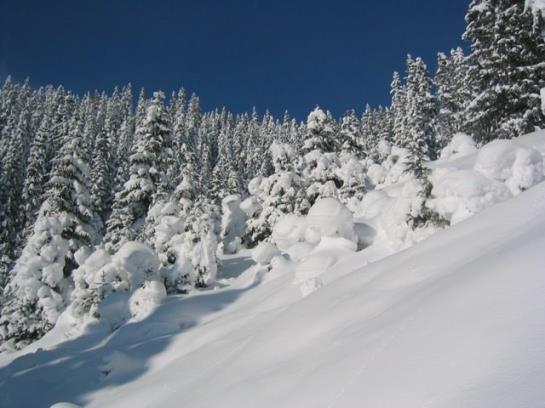 Отель Haus Kristall