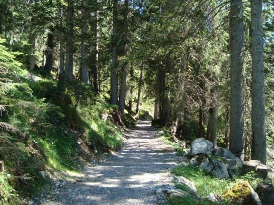 Отель Haus Kristall