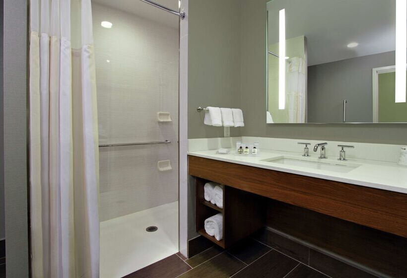 هتل Hilton Garden Inn New York/midtown Park Ave