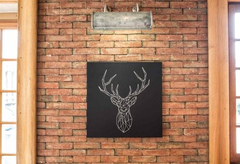 酒店 Hôtel Bellevue