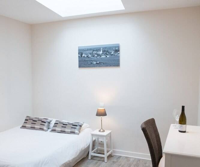 酒店 Hôtel Bellevue