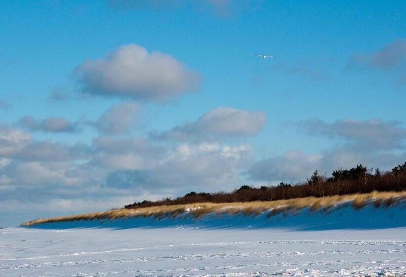 فندق Marks Garni