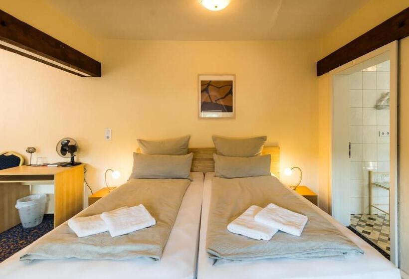 فندق Mettlacher Hof