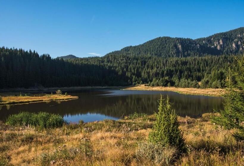 בית מלון כפרי Mountain Lake