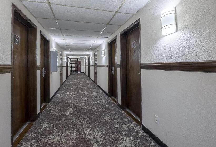 ホテル Red Roof Inn Dayton  Huber Heights