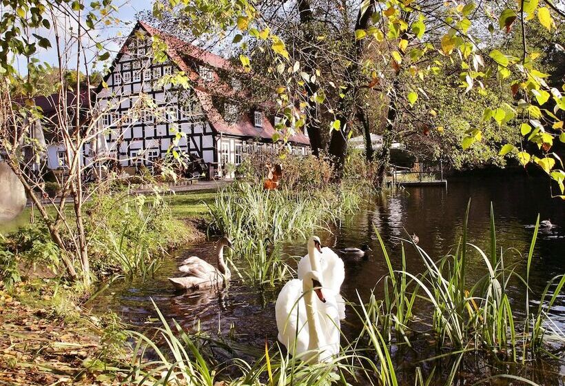 בית מלון כפרי Springbachmuhle Belzig