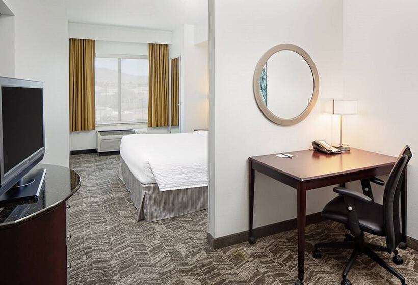 酒店 Springhill Suites By Marriott El Paso