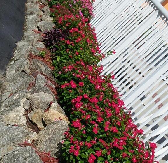 בית מלון כפרי Super Inn Daytona Beach