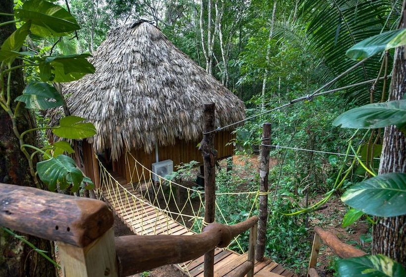 בית מלון כפרי Sweet Songs Jungle Lodge, A Muy’ono Resort