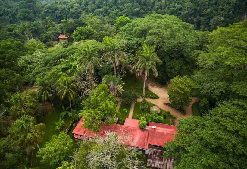 בית מלון כפרי Sweet Songs Jungle Lodge, A Muy’ono Resort