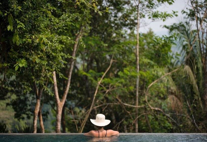 בית מלון כפרי Sweet Songs Jungle Lodge, A Muy’ono Resort