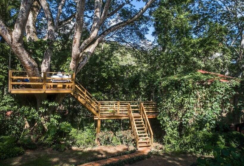 בית מלון כפרי Sweet Songs Jungle Lodge, A Muy’ono Resort