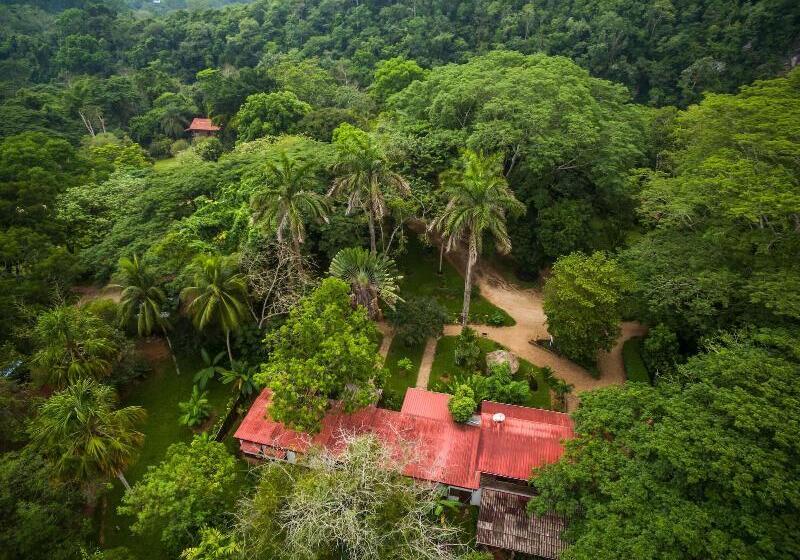 בית מלון כפרי Sweet Songs Jungle Lodge, A Muy’ono Resort