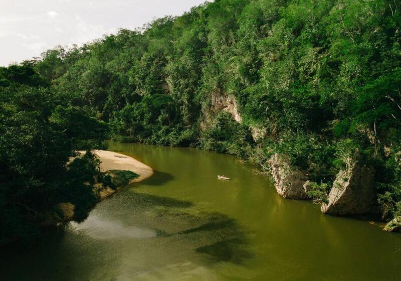 בית מלון כפרי Sweet Songs Jungle Lodge, A Muy’ono Resort