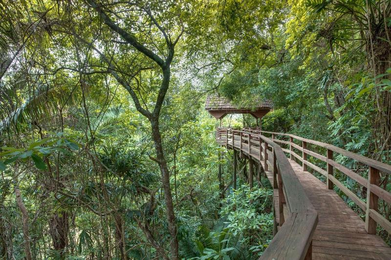 בית מלון כפרי Sweet Songs Jungle Lodge, A Muy’ono Resort
