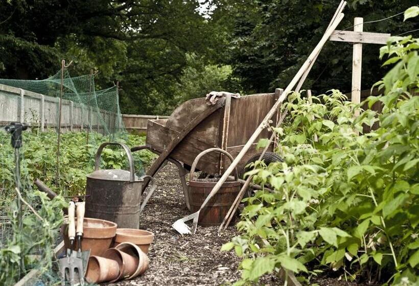 فندق Marsham Arms Inn