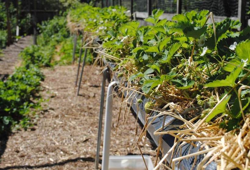 فندق Marsham Arms Inn