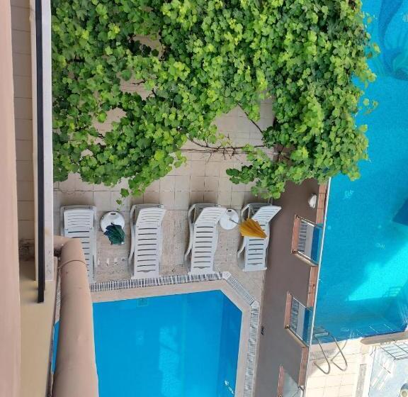 Отель Kleopatra Sahara