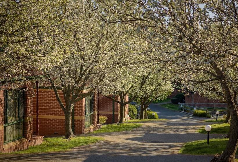 Mount Waverley Townhouses