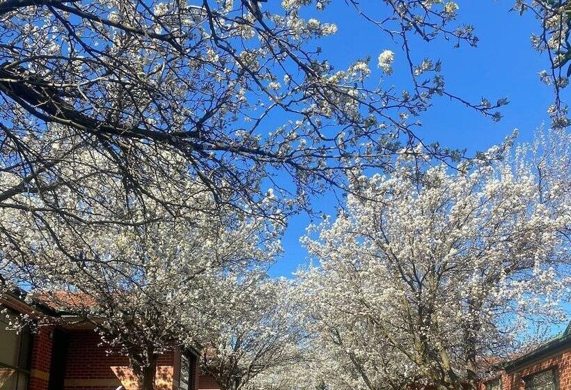 Mount Waverley Townhouses
