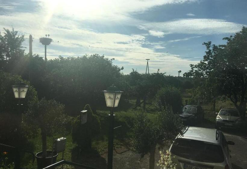 Pension Gestüt Lindenhof