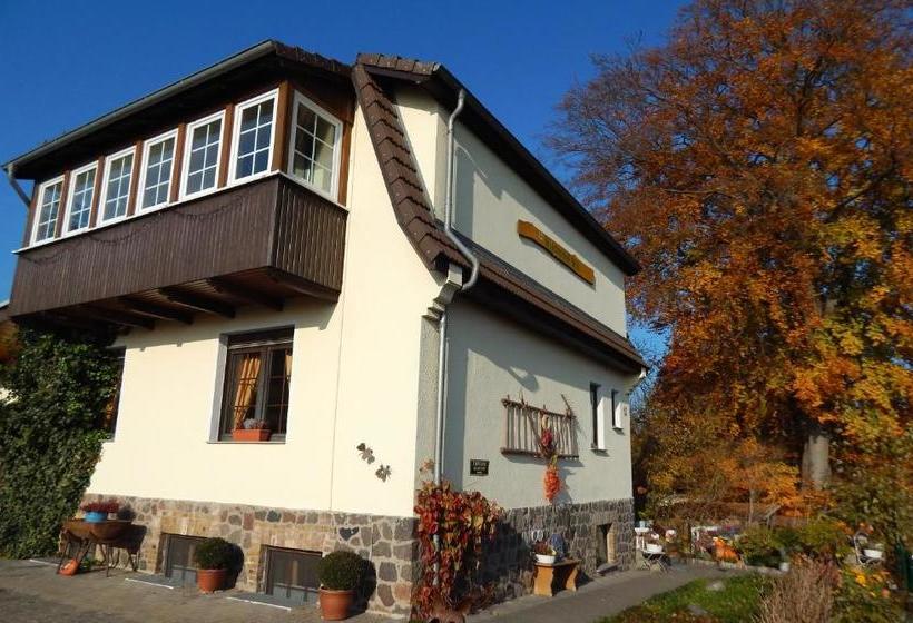 Pension Wiesenhof B&b