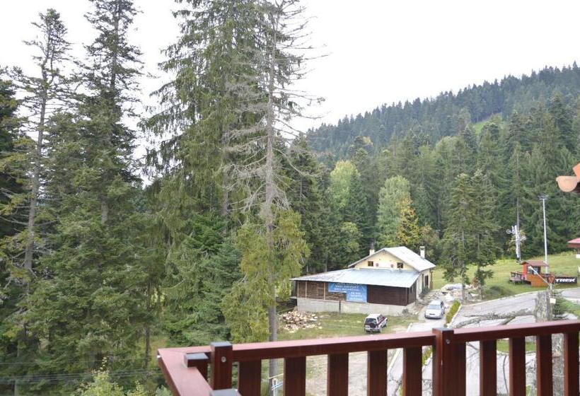 Persey Flora Apartments