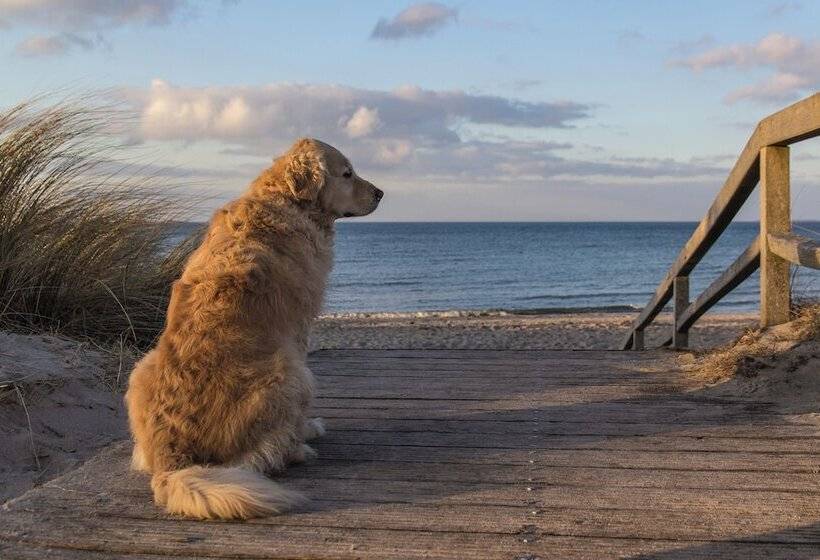 Резиденция Carat Hotel Grömitz