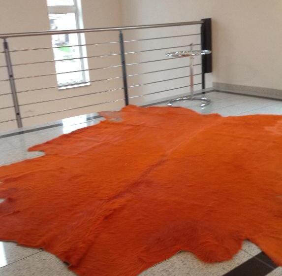 Ressmann`s Residence