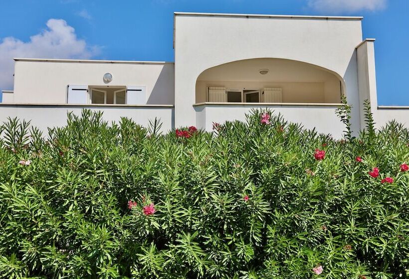 Beach Cannes Bungalows