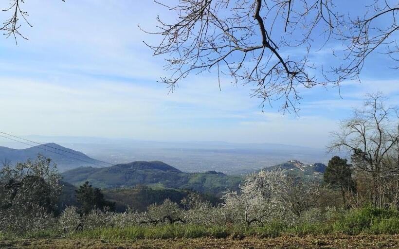 호텔 Agriturismo Menghino