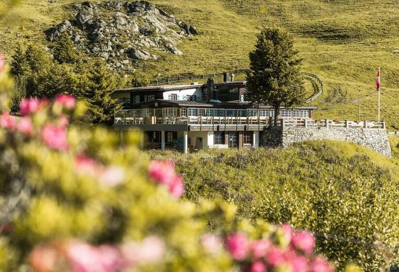 酒店 Alpenblick Bergrestaurant &