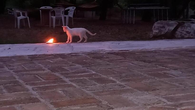 فندق Azienda Agrituristica La Torretta