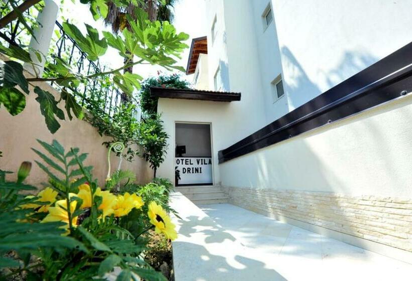 בית מלון כפרי Vila Drini