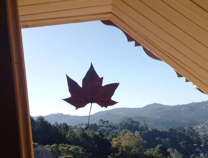 호스텔 Suites Casal 4km Do Baden Baden