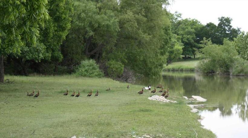 Bed and Breakfast Double U Barr Ranch   Cowboy Cabin
