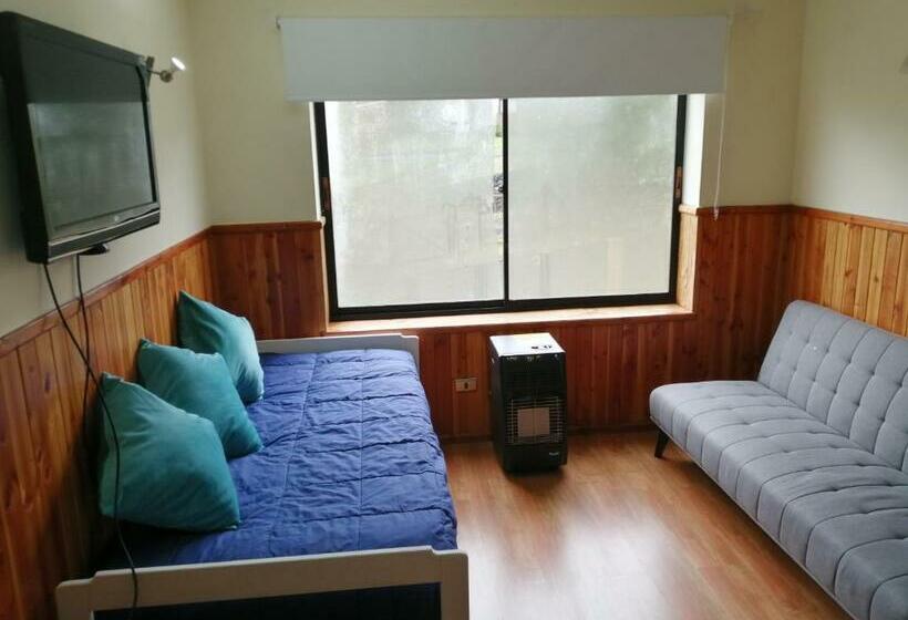 Departamento En Pucón