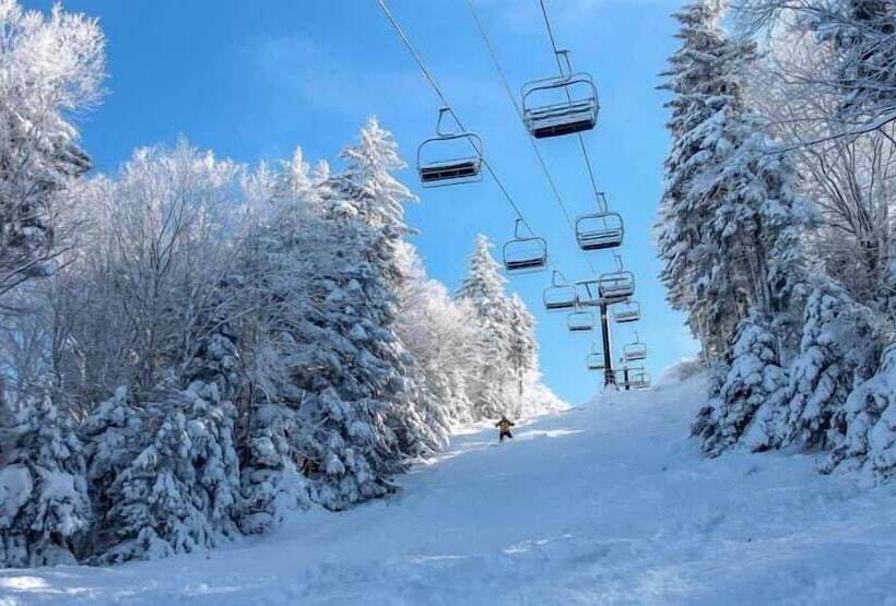 فندق The Alpine Lodge