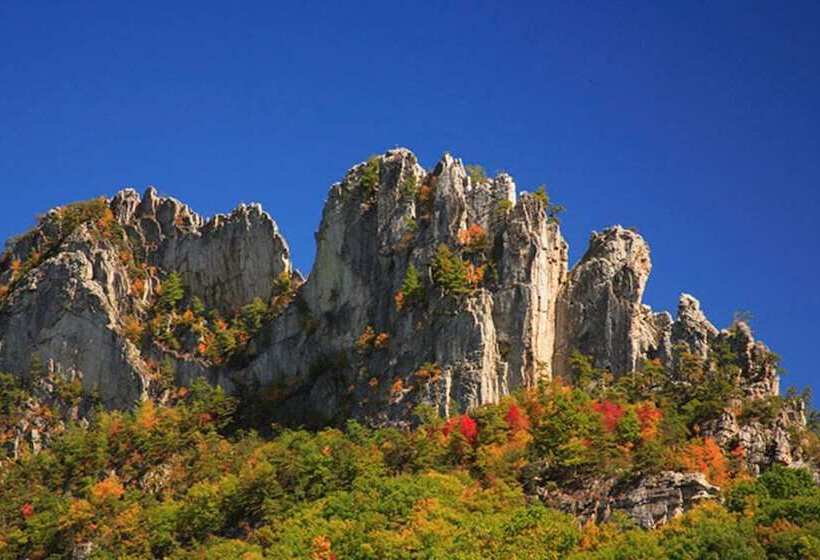 فندق The Alpine Lodge