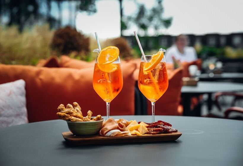 Van Der Valk Hotel Schiedam