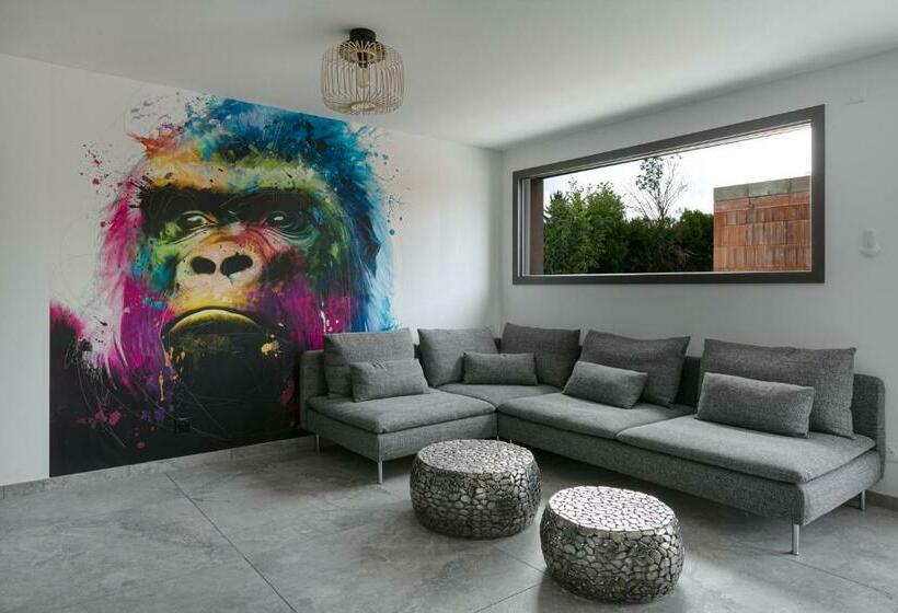 Gites Spa Strasbourg   Villa Gorille   Spa Privé, Sauna, Borne D Arcade, Babyfoot