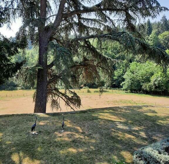 住宿加早餐  Chambres D Hôtes Le Moulin Juste Ambierle   Loire