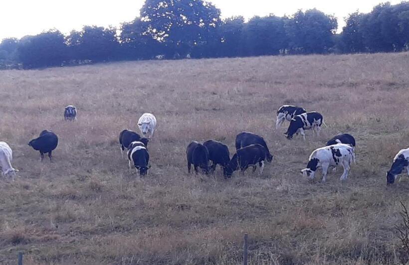 مبيت وإفطار Les Chambres De La Fontaine De Brul