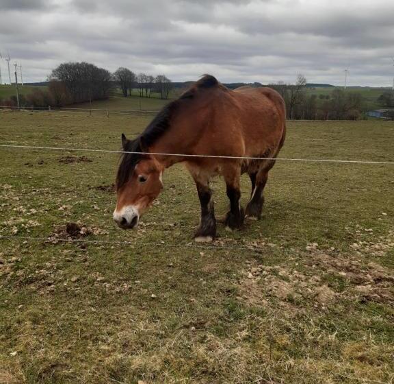 مبيت وإفطار Les Chambres De La Fontaine De Brul