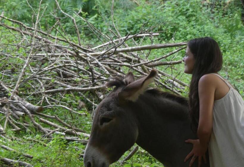 민박 Source Nature