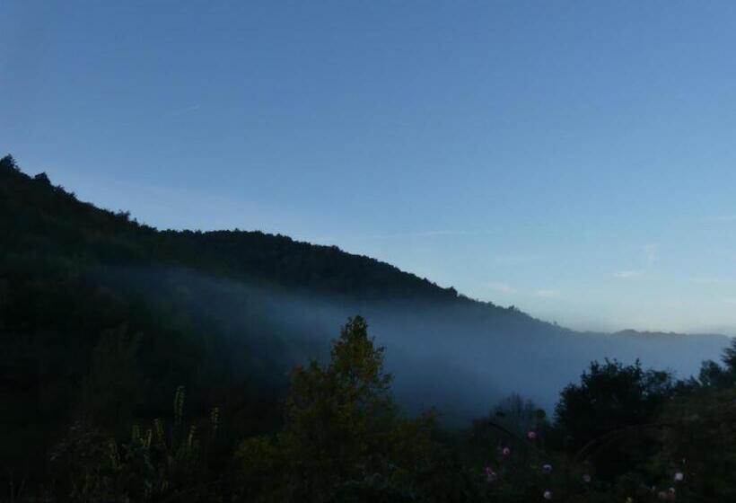 민박 Source Nature