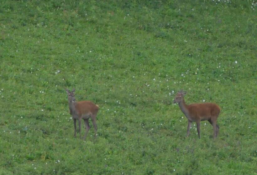 민박 Source Nature