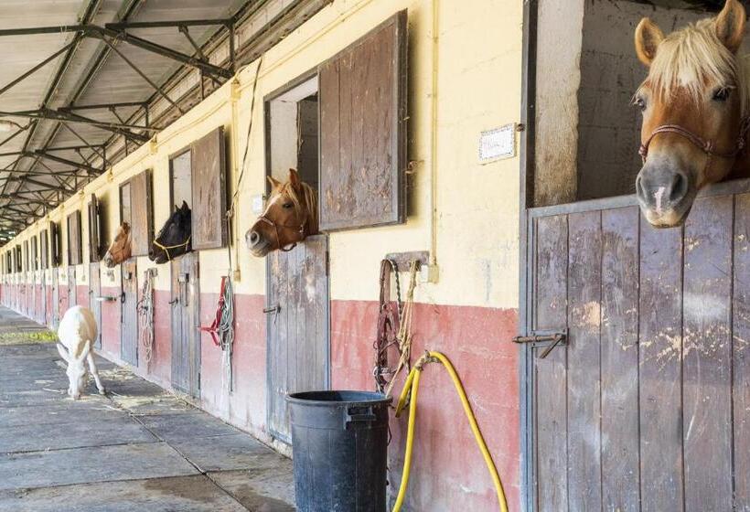 فندق Agriturismo Casal Cerqueto