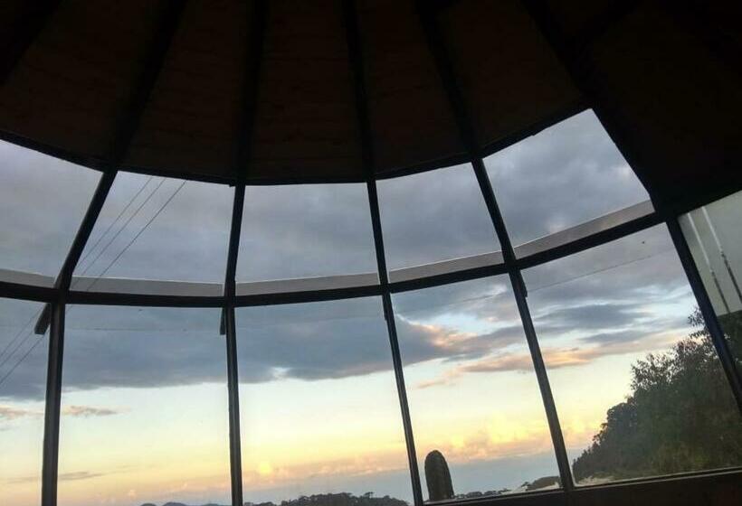 Отель Hostal Camino Viejo